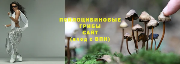мет Бородино