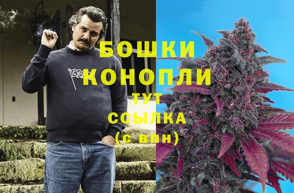 марки nbome Богданович