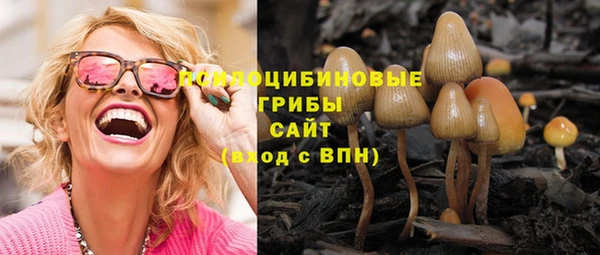 марки nbome Богданович