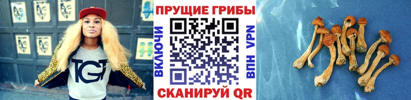 Псилоцибиновые грибы MAGIC MUSHROOMS где найти наркотики hydra вход Миньяр